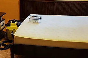 Химчистка дивана из микрофибры цена