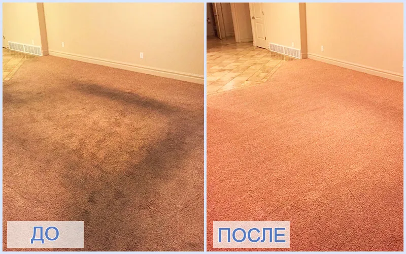 Химчистка ковролина в офисе